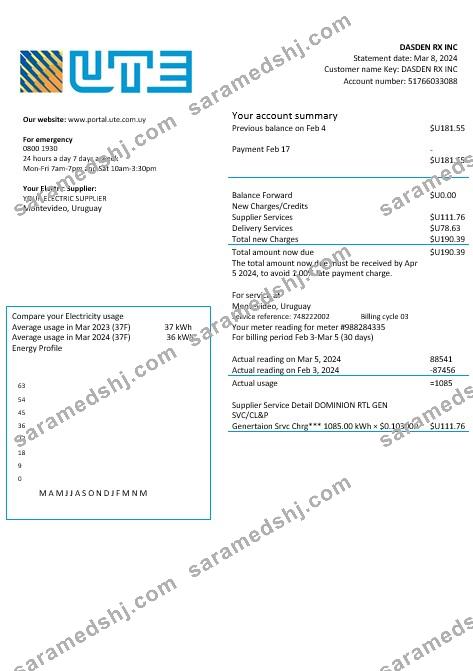 Uruguay UTE Company electricity business utility bill template in Word and PDF formats